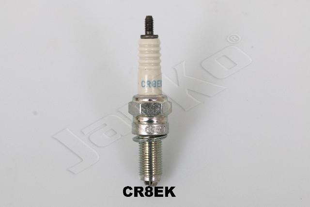 100054/CR8EK_1.jpg