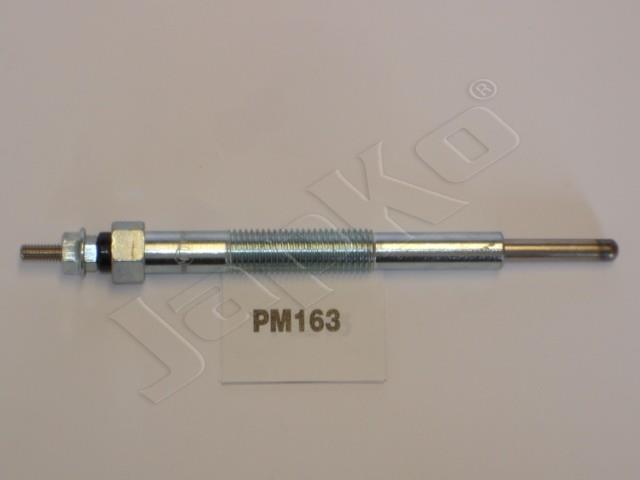 100057/PM163_1.jpg