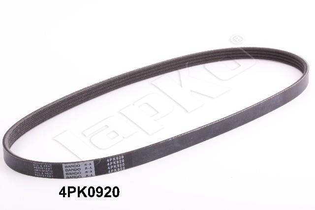 305/DV-4PK0920_1.jpg