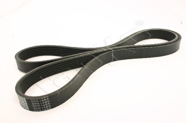 305/DV-6PK1485_1.jpg