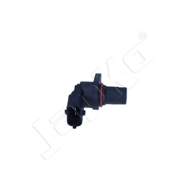 3946/SAC-K06_1.jpg