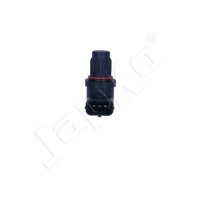 3946/SAC-K06_2.jpg