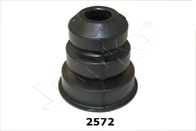 919/RU-2572_1.jpg