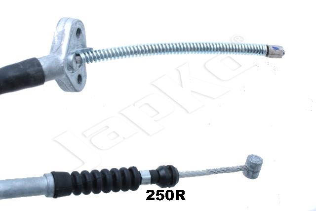124/BC-250R_3.jpg