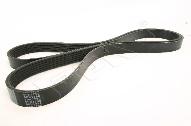 305/DV-6PK1750_1.jpg
