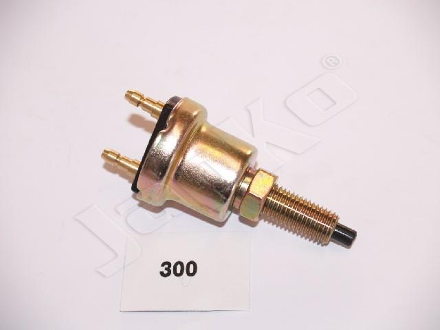 806/IS-300_1.jpg