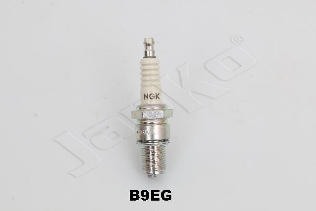 100054/B9EG_2.jpg