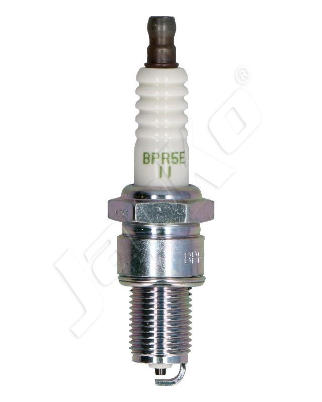 100054/BPR5E-11_1.jpg