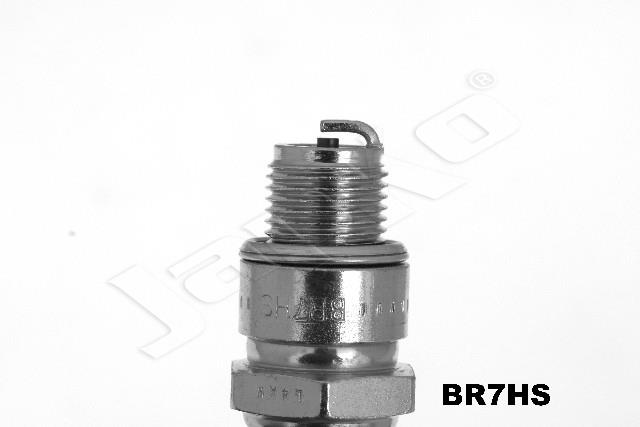 100054/BR7HS_2.jpg