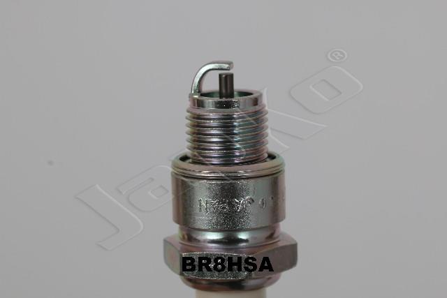 100054/BR8HSA_2.jpg
