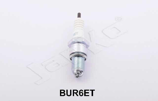 100054/BUR6ET_1.jpg