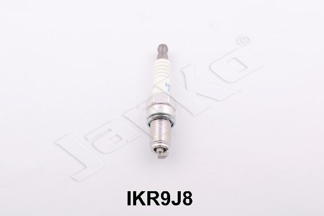 100054/IKR9J8_1.jpg