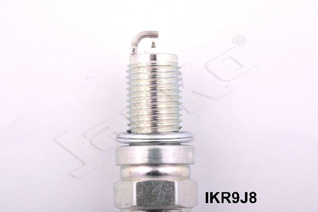 100054/IKR9J8_2.jpg