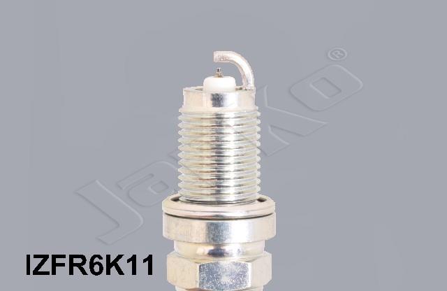 100054/IZFR6K11_2.jpg
