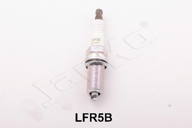 100054/LFR5B_1.jpg
