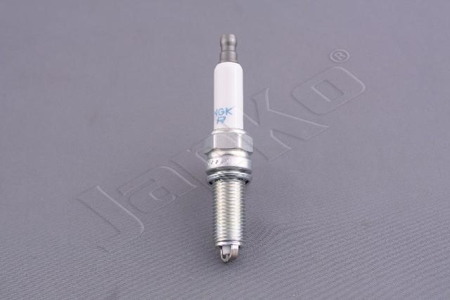 100054/LKR8A_1.jpg