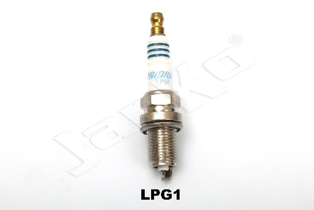 100054/LPG1_1.jpg