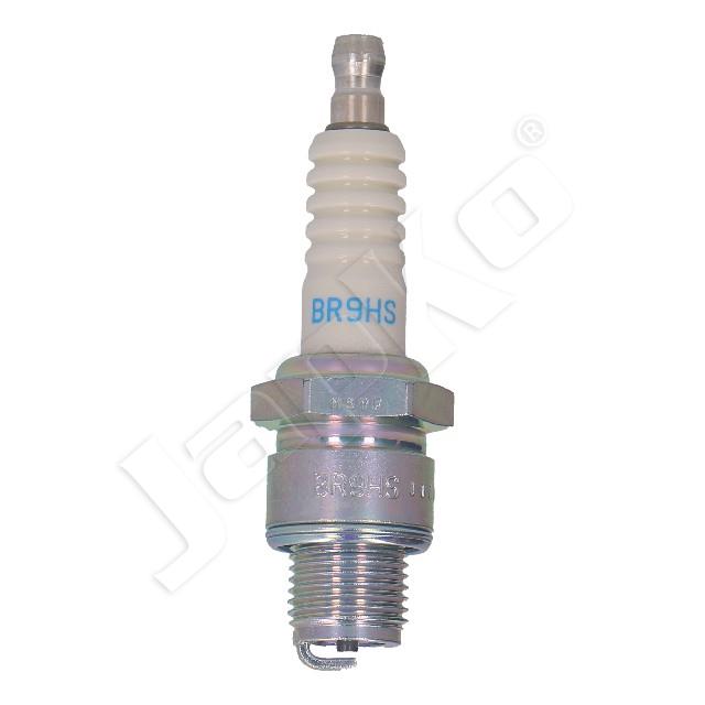 100054/LZKAR6AP-11_1.jpg