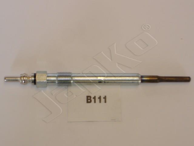 100057/B111_2.jpg