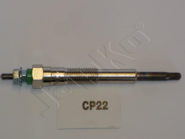 100057/CP22_1.jpg
