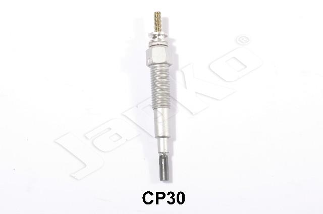 100057/CP30_1.jpg