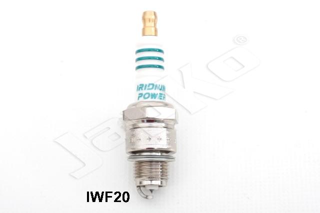 100058/IWF20_1.jpg