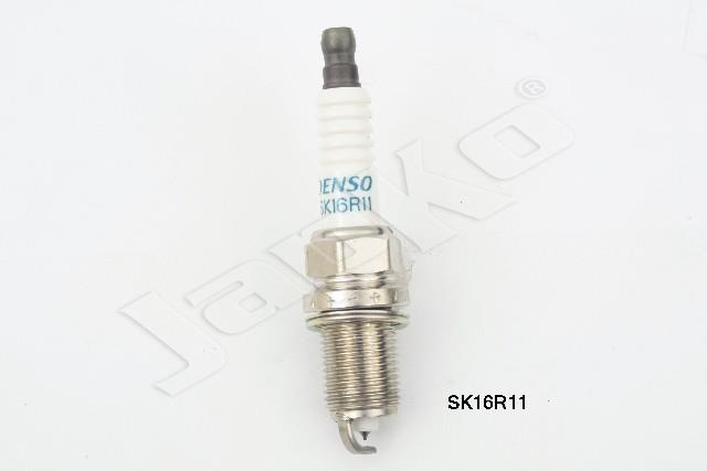 100058/SK16R11_1.jpg