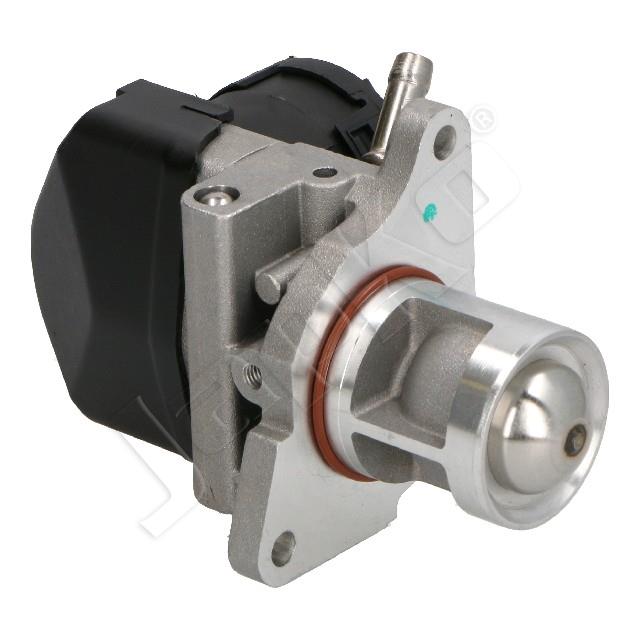 1145/EGR-0105_3.jpg