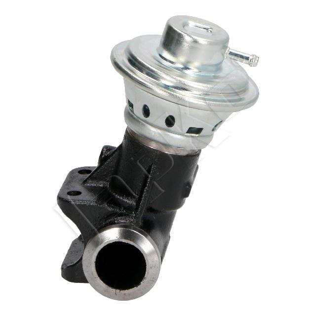 1145/EGR-0207_3.jpg