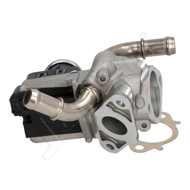 1145/EGR-0314_2.jpg