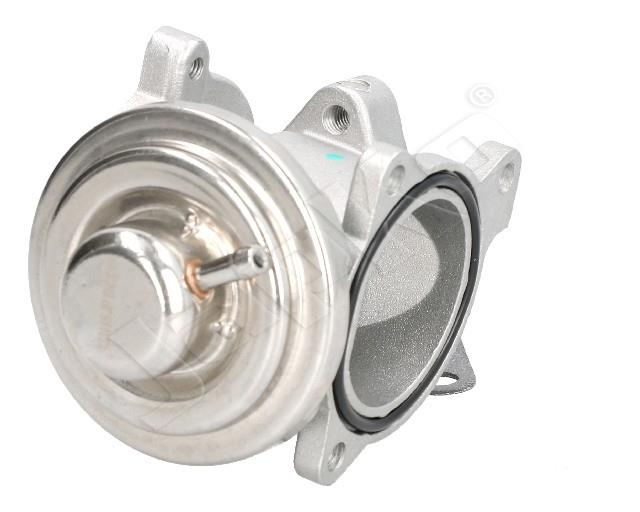 1145/EGR-0905_3.jpg