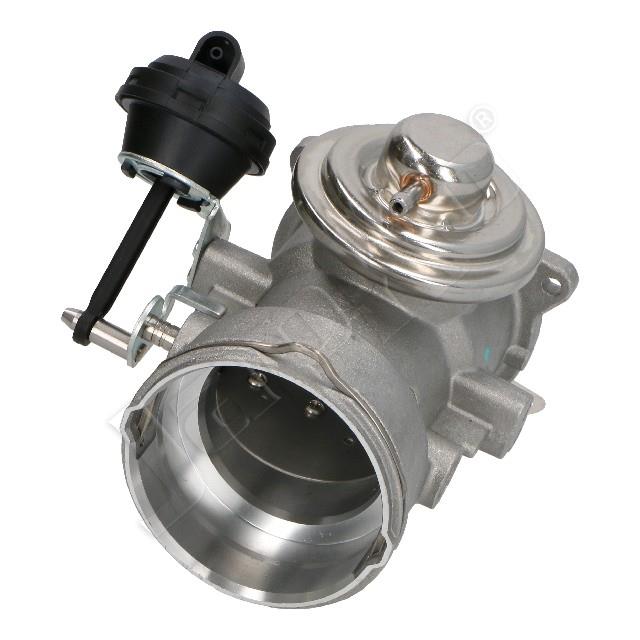 1145/EGR-0927_3.jpg