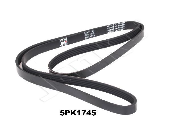 305/DV-5PK1745_1.jpg