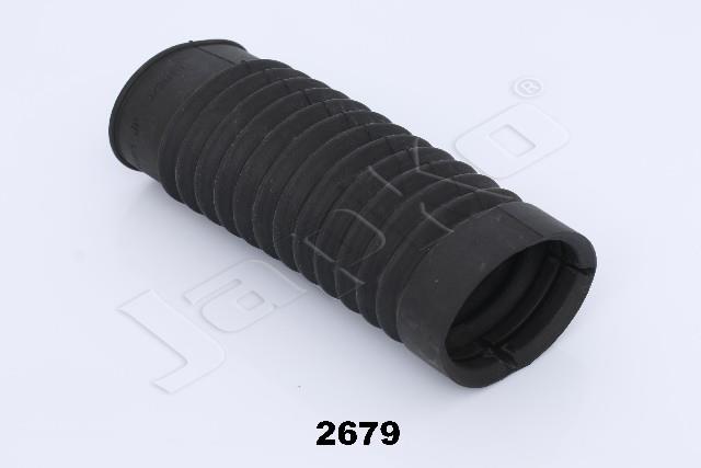 3365/RU-2679_1.jpg