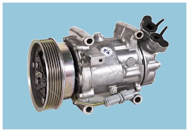 447/CMP2020179_1.jpg
