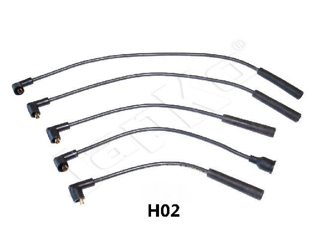 685/IC-H02_1.jpg