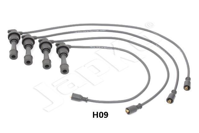 685/IC-H09_1.jpg