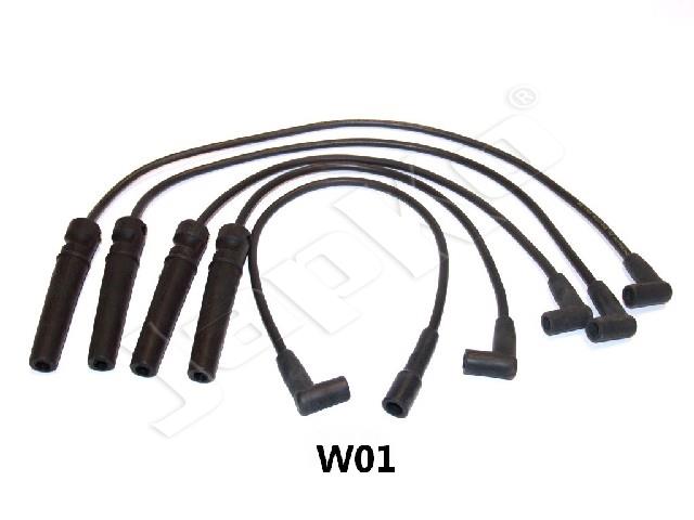 685/IC-W01_1.jpg