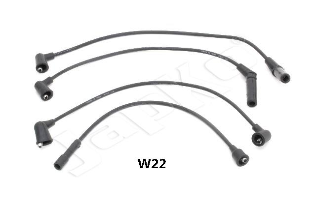 685/IC-W22_1.jpg