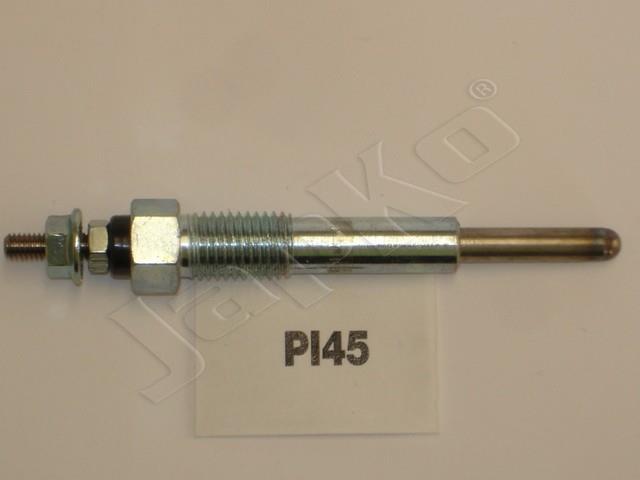 100057/PI45_1.jpg