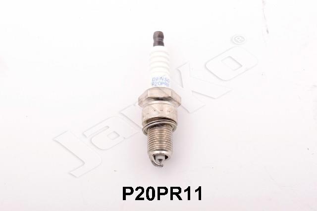 100058/P20PR11_1.jpg