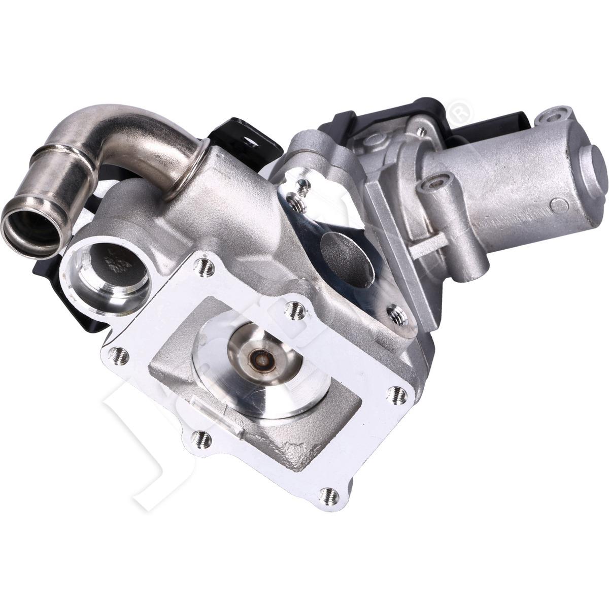 1134/EGR-H09_2.jpg