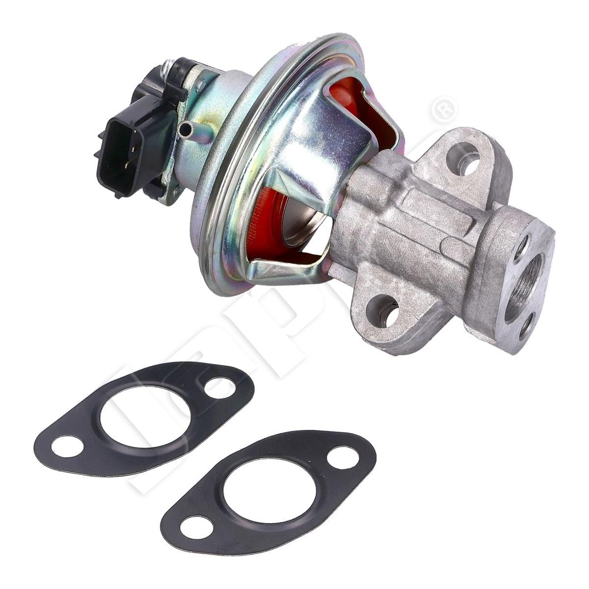 1145/EGR-0320_1.jpg