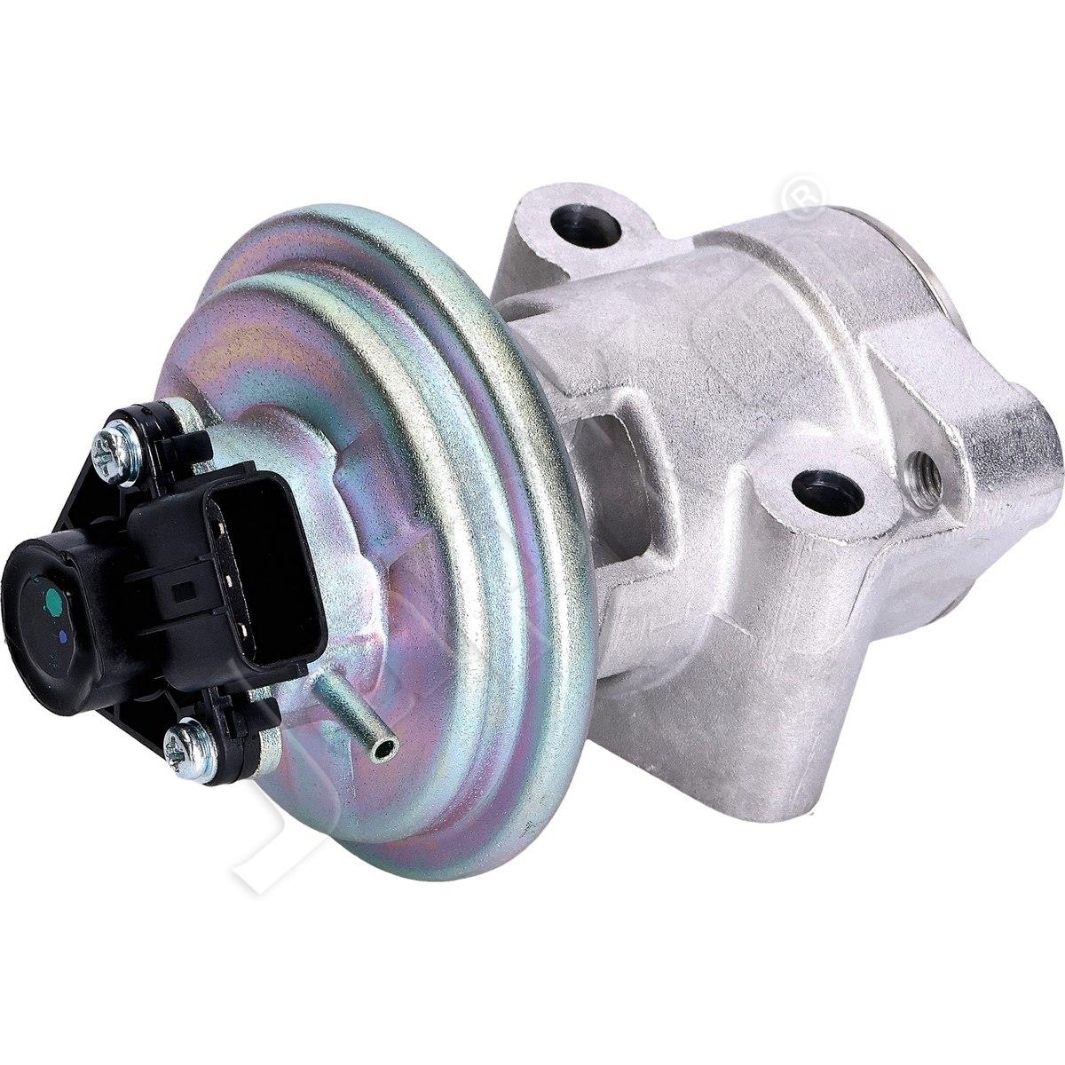 1145/EGR-505_1.jpg