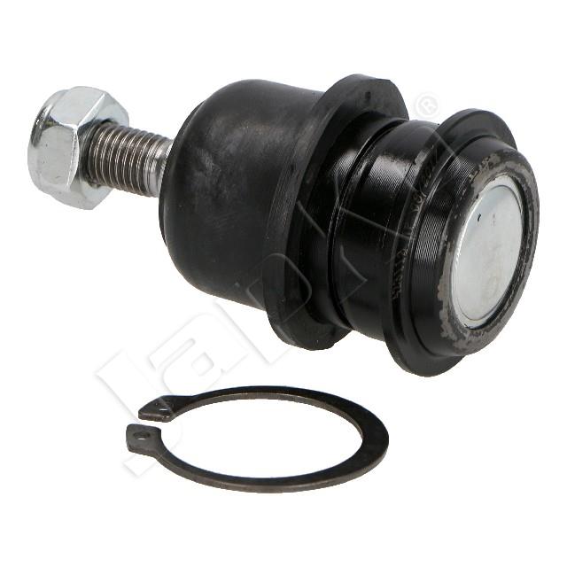 2462/BJ-H07_2.jpg