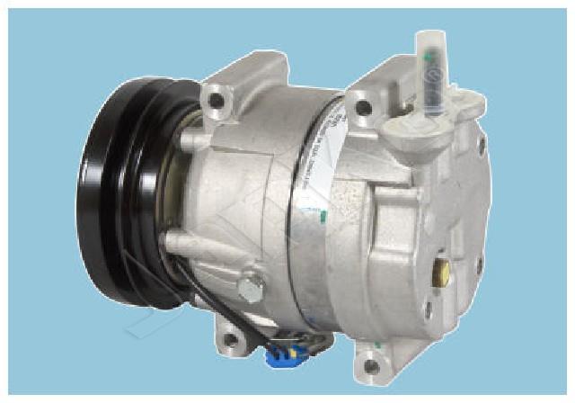 447/CMP2010917_1.jpg