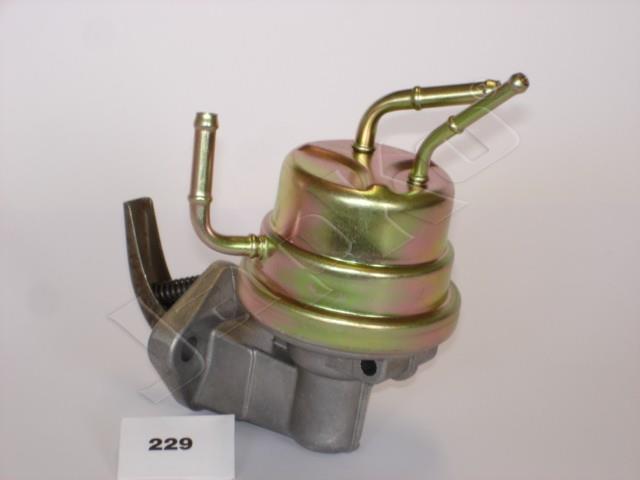 458/PB-229_2.jpg